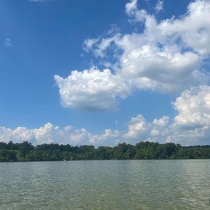 Meet your Posher, Sydney